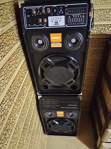 Mikrofonlar: TEMEISHENG Professional Sound – Karaoke və tədbirlər üçün səs sistemi — 4