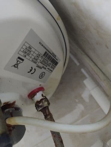 Устройства для борьбы с вредителями: Аристон 80 л, Б/у — 3