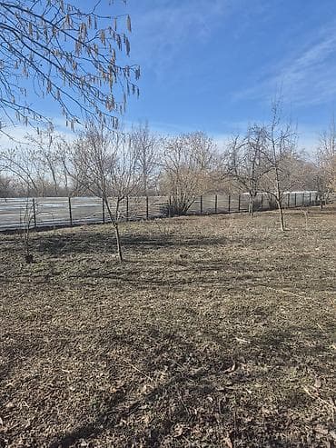 bine atciliqda torpaq satilir 2019: 13 sot, Tikinti, Mülkiyyətçi, Kupça (Çıxarış) — 3