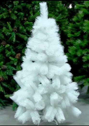 yolka isiqlari satisi: Ag yolka — 2