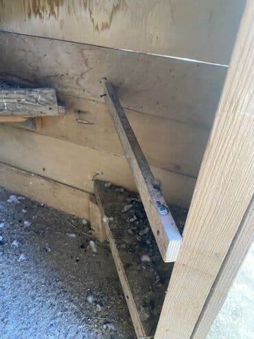 клетка для попугаев: Taxtadan hazırlanmış göyərçin yuvası, dam örtüyü ilə təchiz — 3