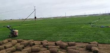 Super qazon göm göy super Rulon çıxır lalafo.az -da Super qazon göm göy super Rulon çıxır