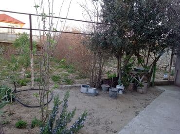 купить дачу в вишневке в баку: Дигях, 2300 м², 3 комнаты, Без бассейна, Артезианский колодец, Интернет, Электричество — 6