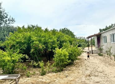 дачи в аренду посуточно: Баку, Пос. Паршаги, 100 м², 6 комнат — 1