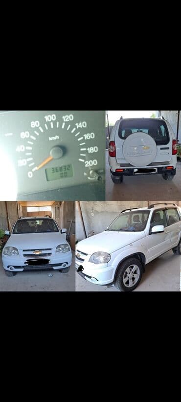 резина на ниву: Chevrolet Niva, ağ rəng, 5 qapı, şəhər və yolsuzluq üçün praktik SUV — 1