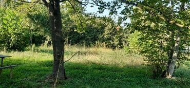 xacmazda 9 nöm mektebin yanında ev torpaq satqısı: 15 sot, Mülkiyyətçi — 7