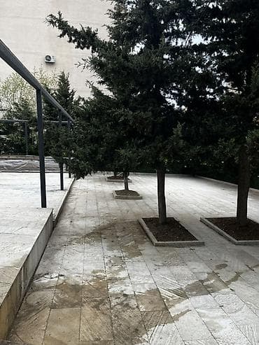 Kirayə verilir – geniş açıq hava sahəsi (teras/baxça) - Məkan: Şəhər
