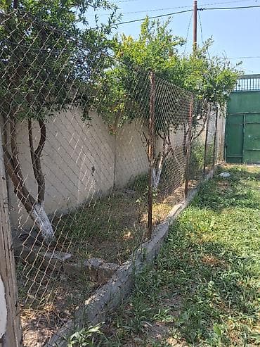 bine sovxoz evler: 12 sot, Mülkiyyətçi, Kupça (Çıxarış) — 6