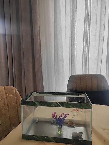 akvarium bitkileri: Akvaryum dəsti - Material: şüşə korpus, yaşıl mərmər naxışlı çərçivə — 3