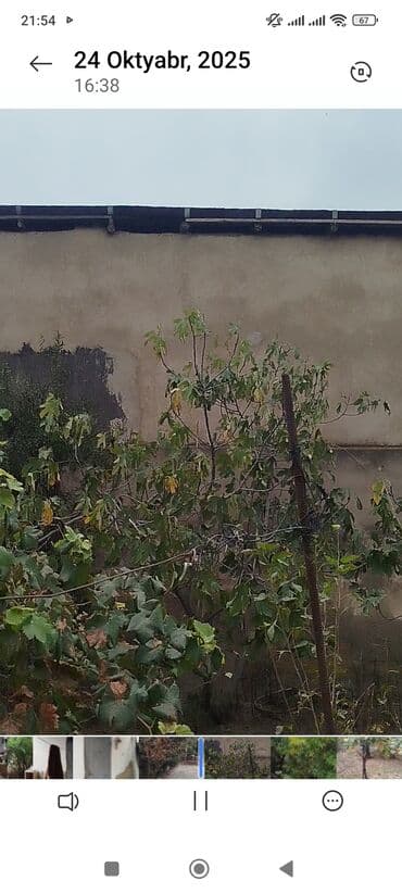 xacmazda evlər: 3 комнаты, 90 м² — 8