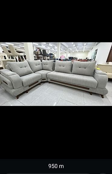 dekorativ otaq bitkiləri: Divan, Divan — 2