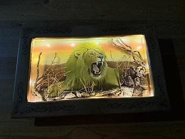 3d defter: Unikal dekorativ işıqlandırılan tablo – “Şir” mövzulu diorama - — 3