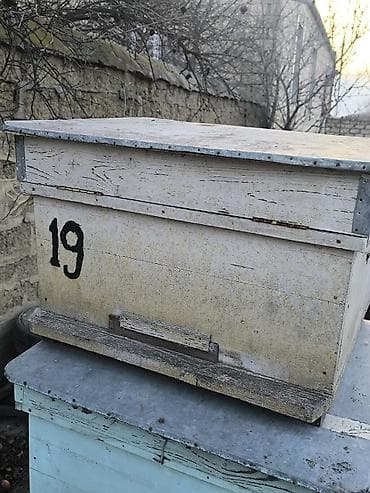 heyvan qirxan: Arıçılıq üçün taxta arı yeşiyi 16 ramkalıq. az işlənib. 10 ədəddir — 1