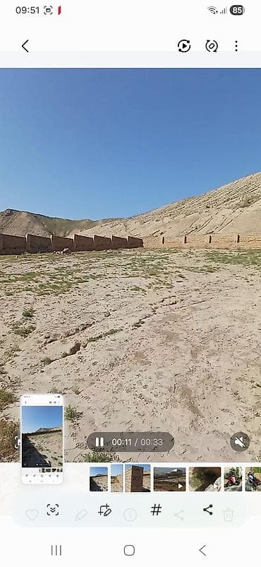 Tikinti