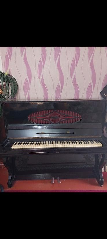 Akkustik piano – şaquli model - Korpus: parlaq qara taxta örtük