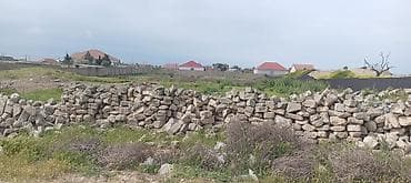 Tikinti — 3