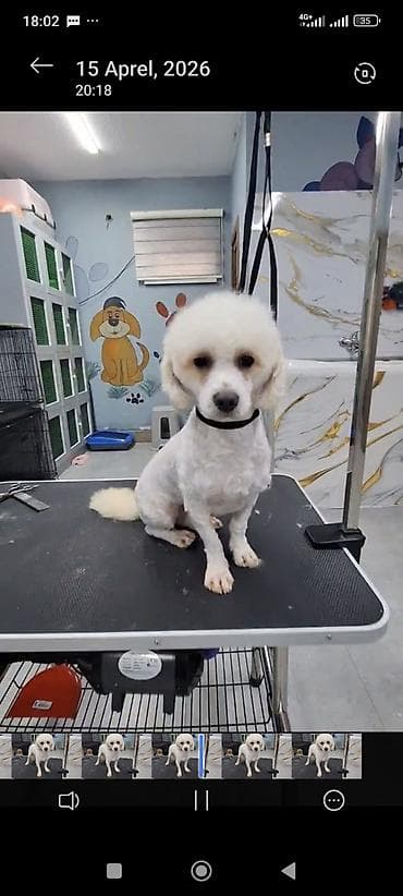 Красота и здоровье: Барберы | Другой вид услуги — 1