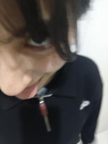 scottish pişik: Siam, Erkək, Cütləşmə üçün — 2