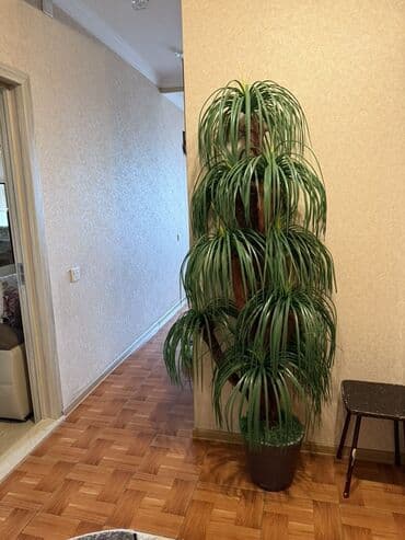 gul puketi: Böyük ölçülü dekorativ süni bitki - Növ: Uzun lentvari yarpaqları — 2