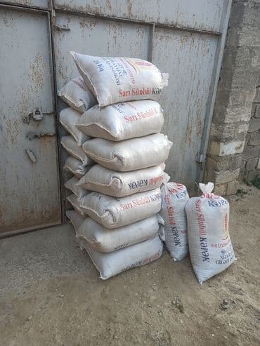 dibcək gulləri ev gulleri ve adlari: Toz halinda mal peyini - kisesi 2,60 q. ( boyuk kepek kisesinde) — 18