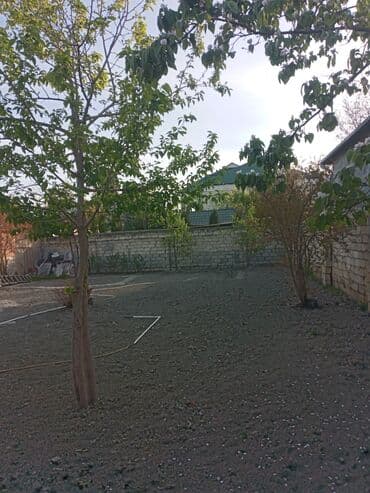 xacmazda gilas baglari qiymetleri: 8 sot, Tikinti, Mülkiyyətçi, Kupça (Çıxarış) — 4