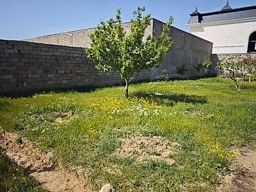 6 sot, Makler, Kupça (Çıxarış)