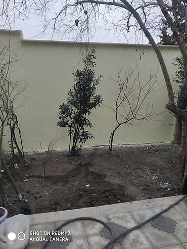 Avto xidmətlər: Tarsofqa ve krasqa isi ile mesgul oluram — 6