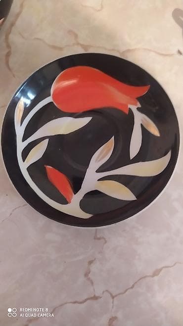 Комнатные растения: Стаканы — 4