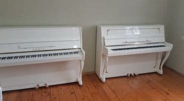 флейта музыкальный инструмент: Пианино, Акустический — 1