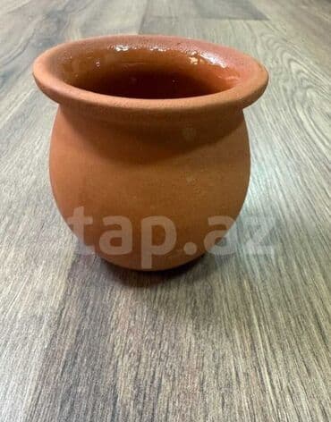 dibçək qabları: Terracotta rəngində, dəyirmi formalı, kiçik ölçülü saxsı qab. Bitki — 1