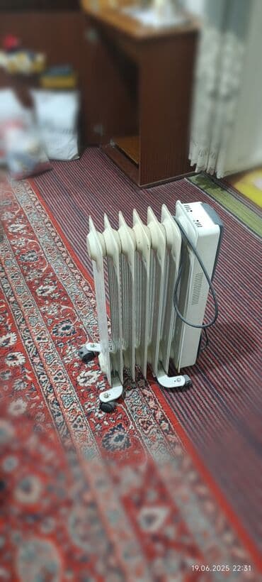 radiator islenmis: Yağ radiatoru, Kredit yoxdur, Ünvandan götürmə — 2