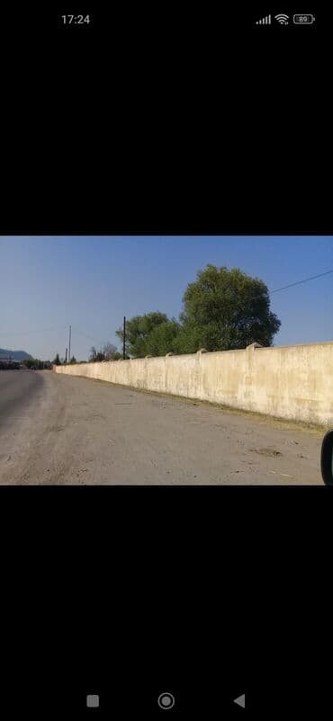 Qarajlar: Biznes üçün — 3