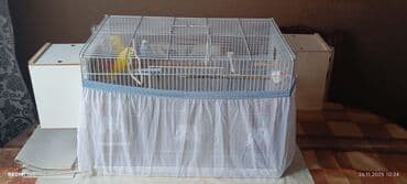 Yuvalar: Quş qəfəsi dəsti - Ölçü: 60 × 40 × 40 sm (şəkildə qeyd olunub) - — 3