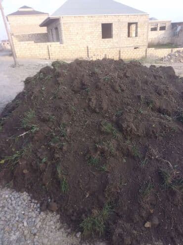 mal əti qiyməti: Salam aleykum qara meşe torpagı yanmış kohne mal peyini assep qum daş — 1