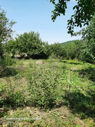 şabran torpaq: 10 sot, Tikinti, Mülkiyyətçi, Kupça (Çıxarış) — 14