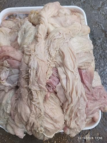 Quzu qurşağı yeni sıradan ədədi 80 qəpik yuyulub təmizdir kim isdese — 1