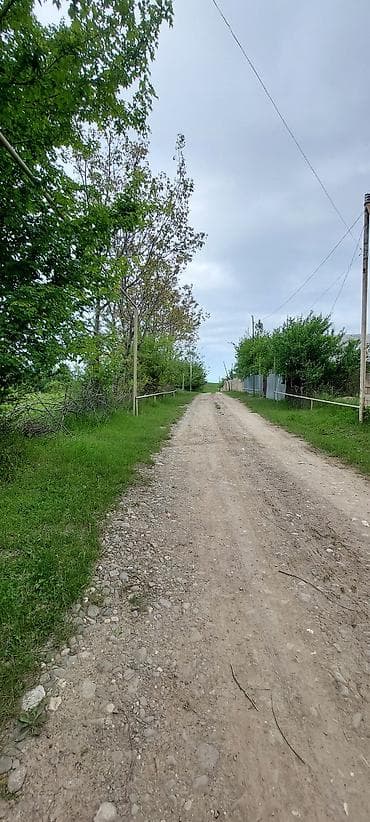 torpag satisi: 20 sot, Tikinti, Mülkiyyətçi, Kupça (Çıxarış) — 8