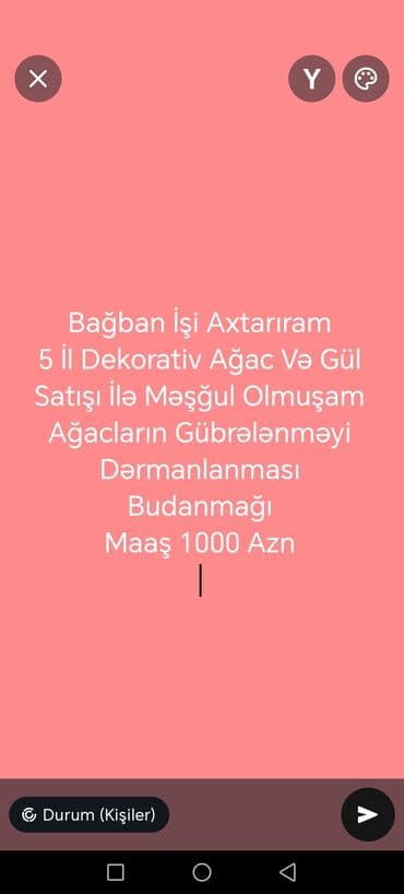 работа водителем в баку 2019: Садовник требуется, 3-5 лет опыта, 6/1 — 1