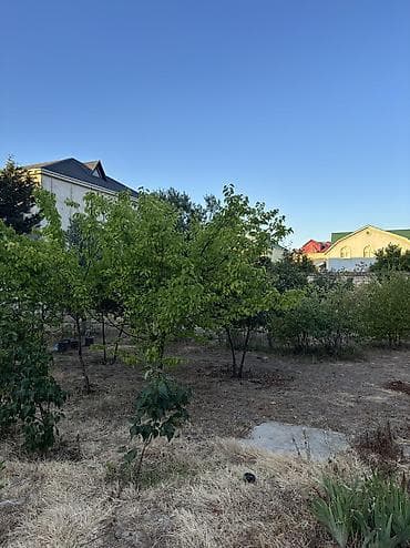 torpaq bakida: 5 sot, Tikinti, Mülkiyyətçi, Kupça (Çıxarış) — 4