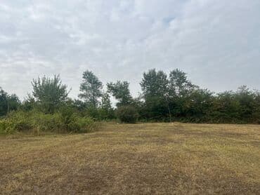 qubada torpaq satilir 2020: 110 sot, Tikinti — 7