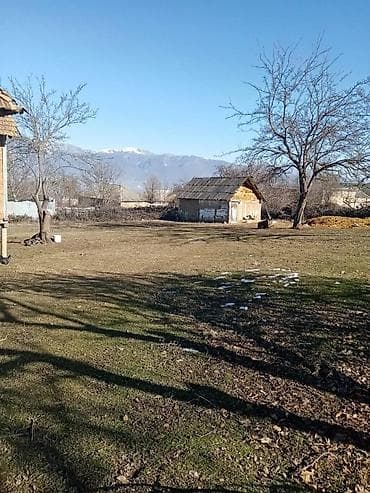 nabran ev kiraye: 20 sot, Tikinti, Barter mümkündür, Kupça (Çıxarış) — 2