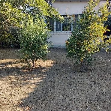 Bağ evlərinin satışı: Saray, 65 kv. m, 3 otaqlı, Hovuzsuz, İşıq — 8