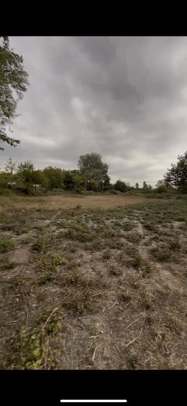 fatmayı torpaq: 10 sot, Kupça (Çıxarış) — 6