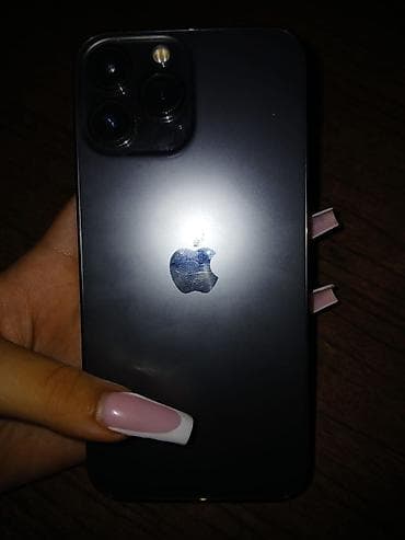 tank 3 pro max: IPhone 13 Pro Max, 256 GB — 2