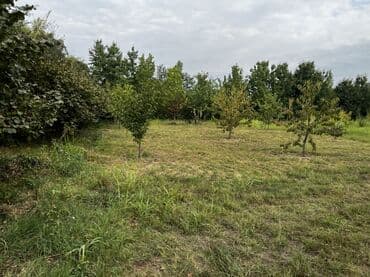 куплю дом в баку: Для сельского хозяйства — 9