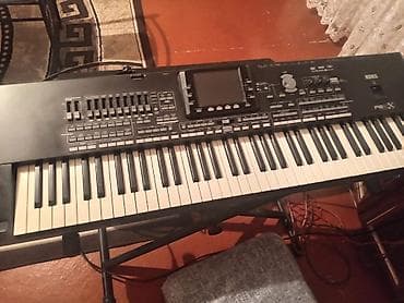 akustik gitara simi: Sintezator, Korg — 3