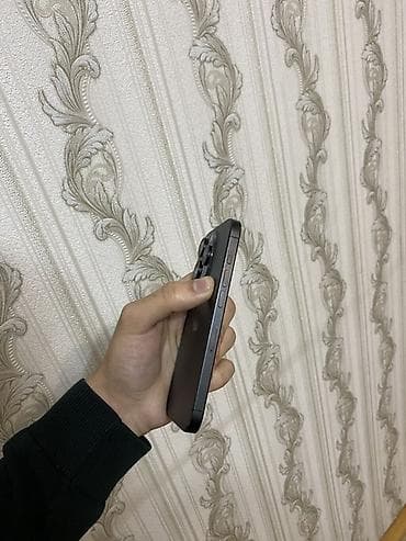 mac pro: IPhone 15 Pro, 128 ГБ, Matte Space Gray — 6