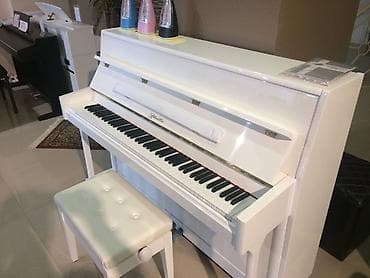 Royal ve Pianolar. Royal Musiqi Aletleri salonu sizlere genish — 1