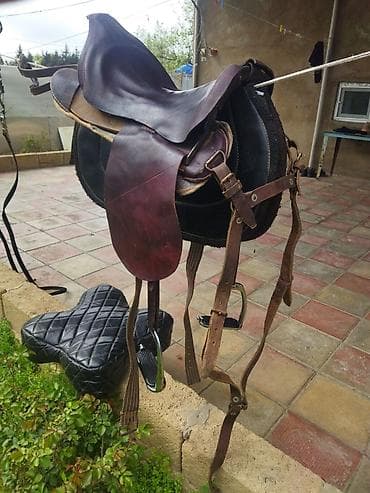 heyvan yemləri: Tam dəst at avadanlığı çox az işlənmiş qiymətdə endirim olacaq — 2