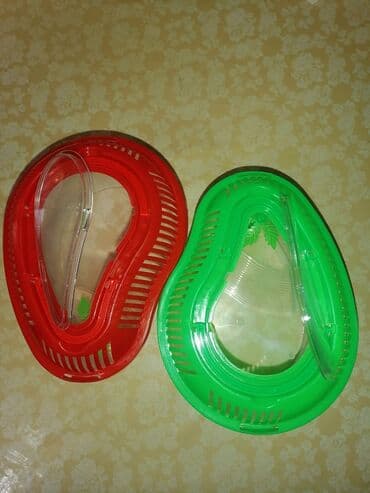 отдам в добрые руки: Kiçik tısbağalar satılır, mavi plastik akvarium. Akvariumun — 6